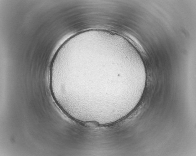 X0000115270804200911271944