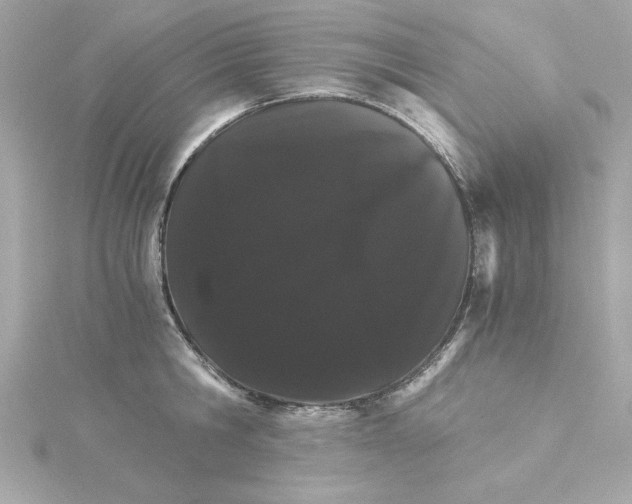 X0000115270806200911271944