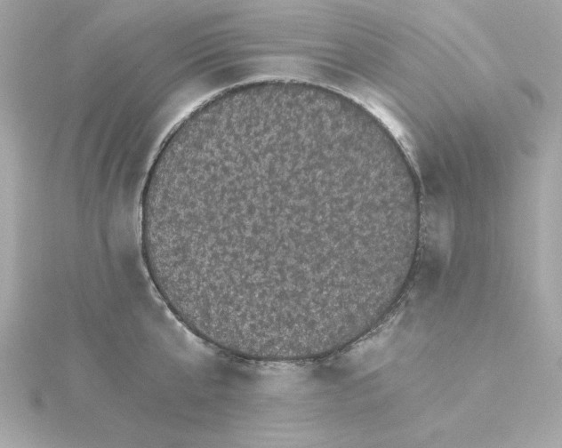 X0000115270807200911271944