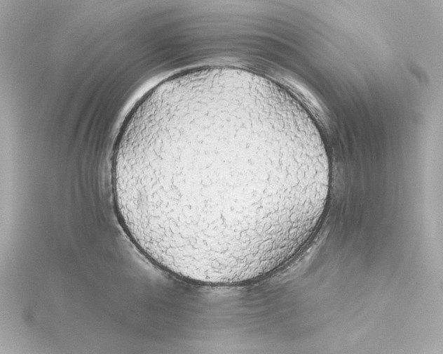 X0000115270808200911271944