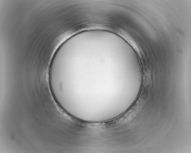 X0000115270813200911271944