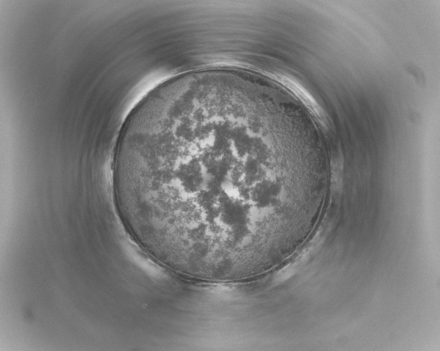 X0000115270814200911271944