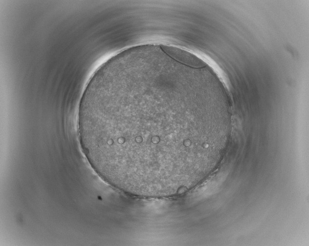 X0000115270815200911271944