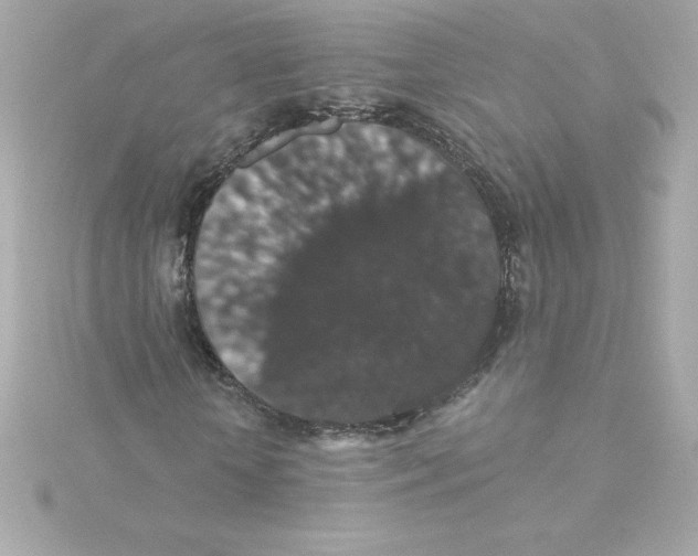 X0000115270818200911271943