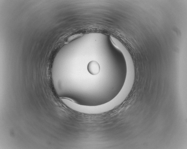 X0000115270819200911271943