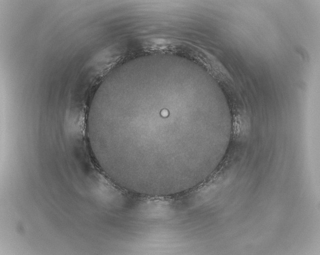 X0000115270820200911271944