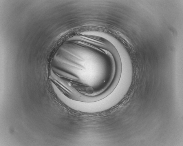 X0000115270821200911271944