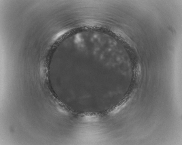 X0000115270822200911271944