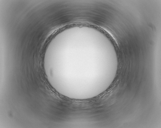 X0000115270823200911271944