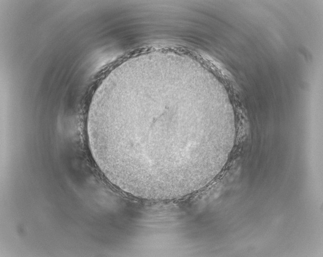 X0000115270824200911271944