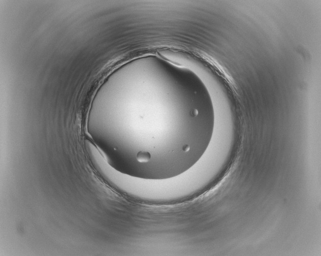 X0000115270825200911271944