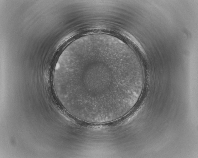 X0000115270826200911271944