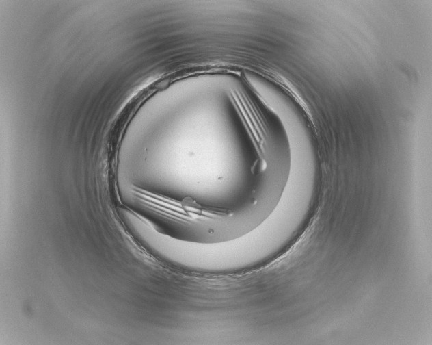 X0000115270827200911271944