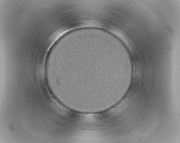 X0000115270828200911271944