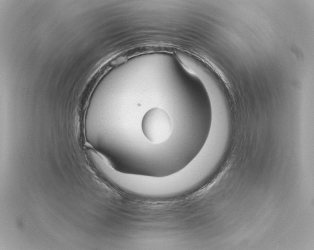 X0000115270829200911271944