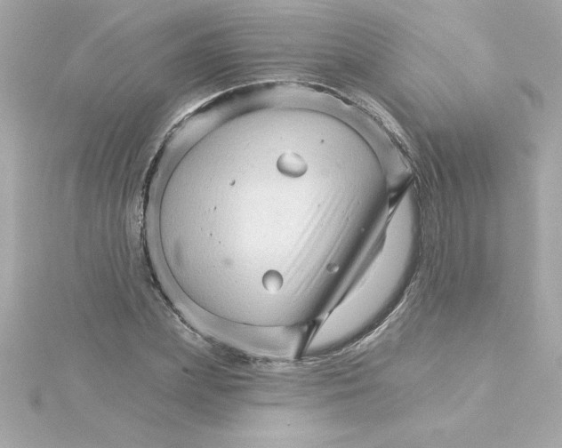 X0000115270831200911271944