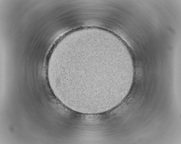 X0000115270832200911271944