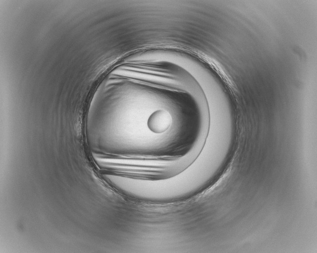 X0000115270833200911271944