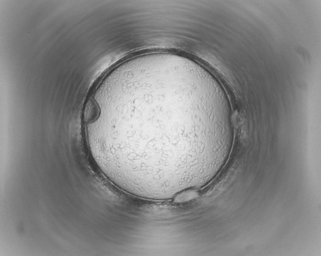 X0000115270834200911271944