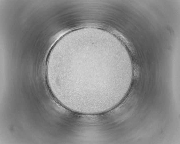 X0000115270836200911271944