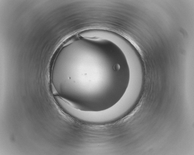 X0000115270837200911271944