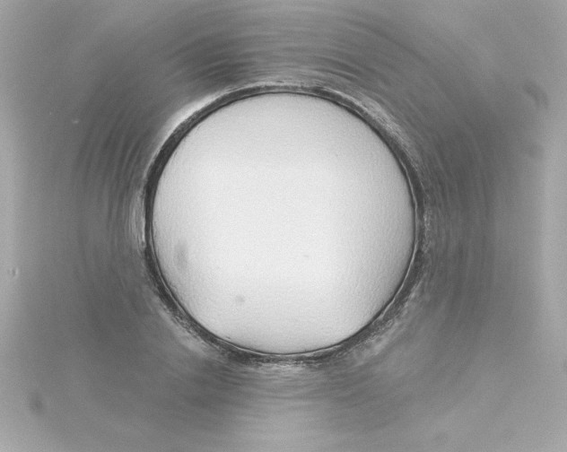 X0000115270838200911271944