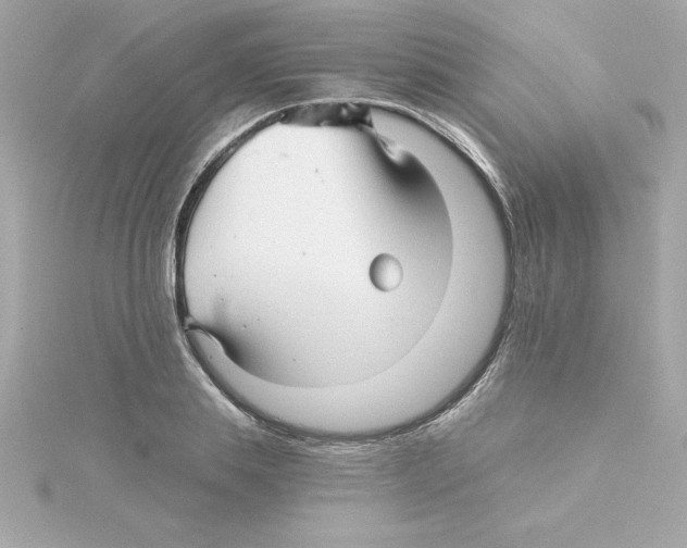 X0000115270839200911271944