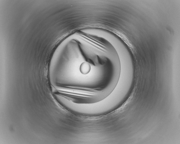 X0000115270841200911271944