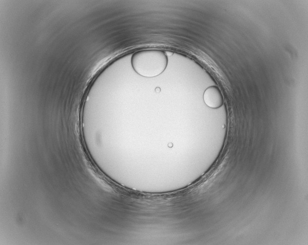 X0000115270842200911271944