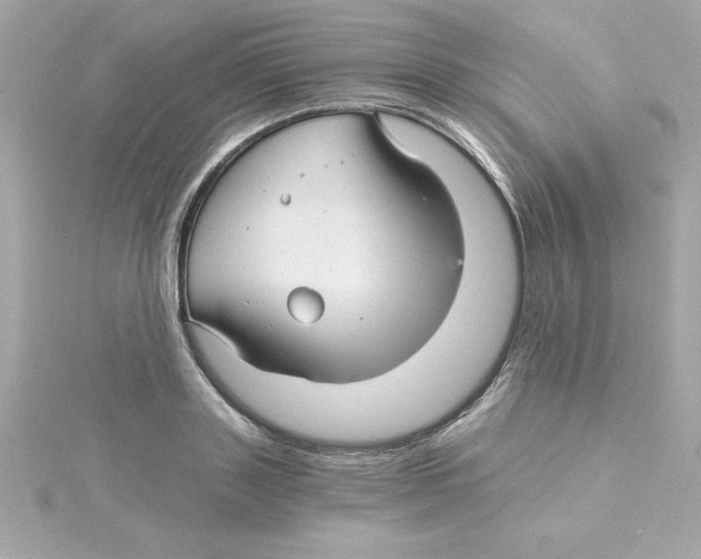 X0000115270843200911271944