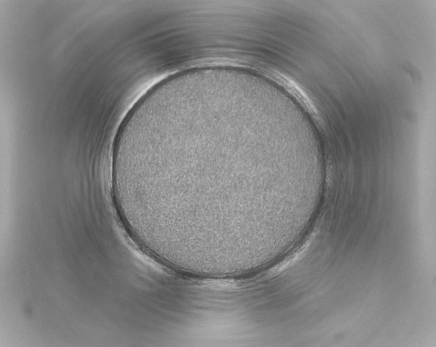 X0000115270844200911271944