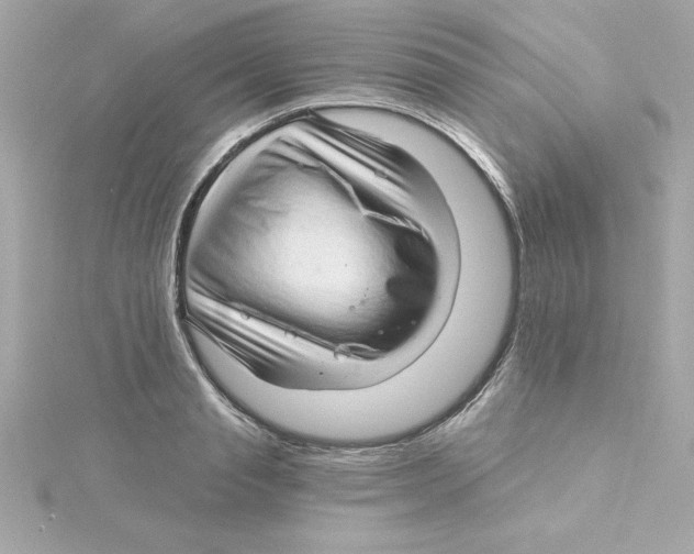 X0000115270845200911271944