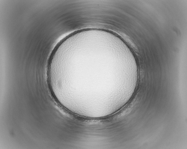 X0000115270846200911271944