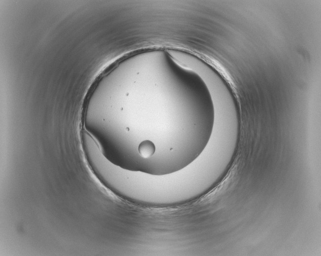 X0000115270847200911271944