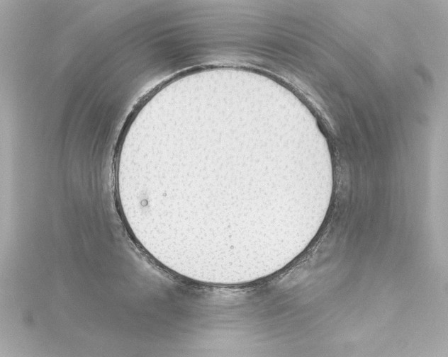 X0000115270848200911271944