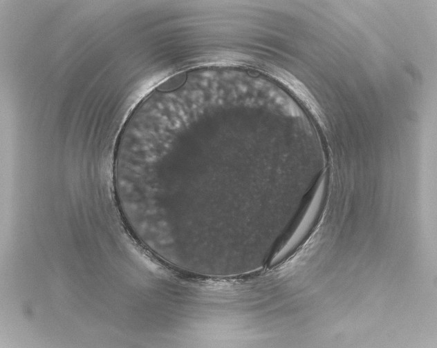 X0000115270850200911271944