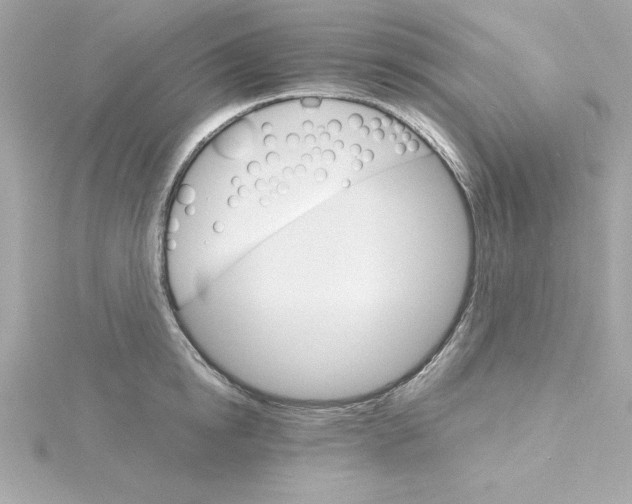 X0000115270854200911271944