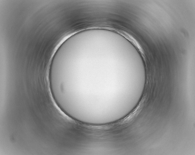 X0000115270855200911271944