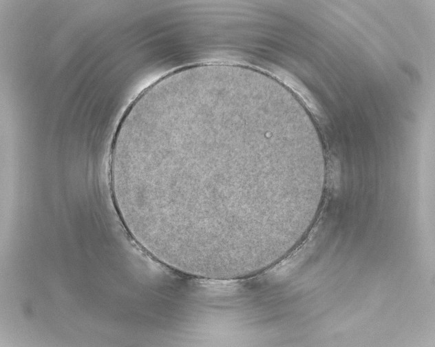 X0000115270856200911271944