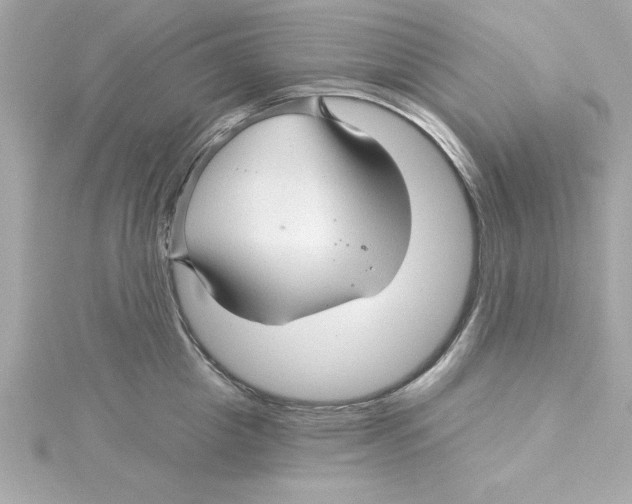 X0000115270857200911271944