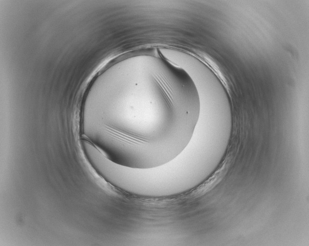 X0000115270859200911271944