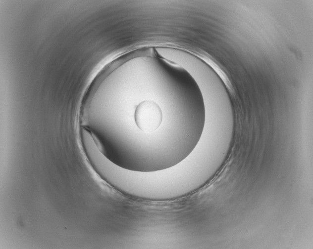 X0000115270861200911271944