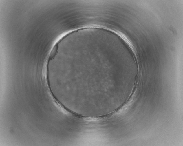 X0000115270862200911271944