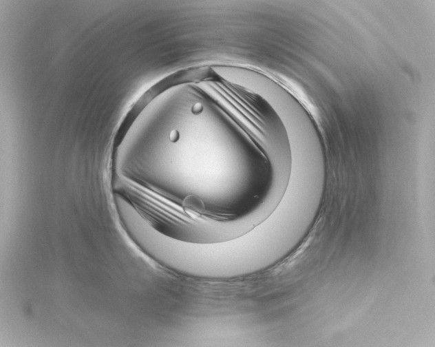 X0000115270863200911271944