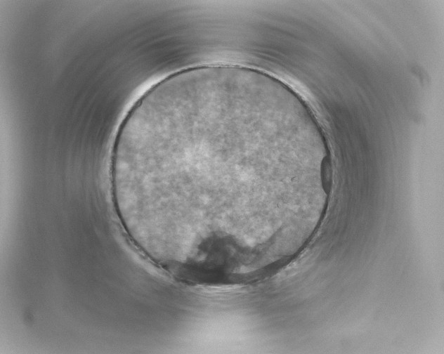 X0000115270864200911271944