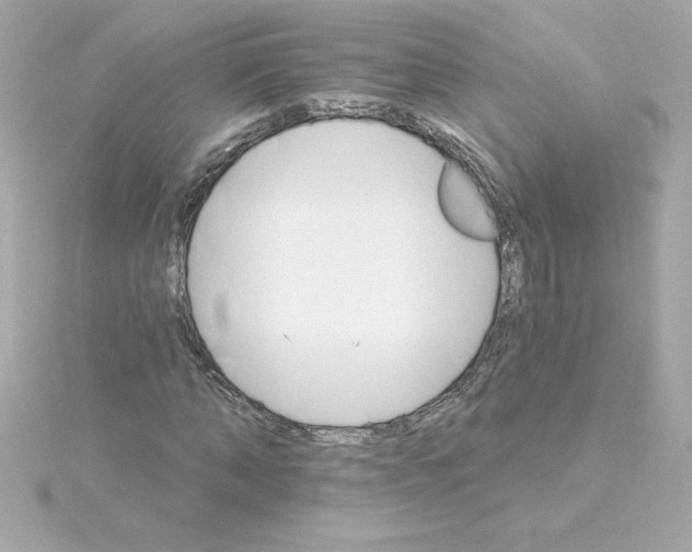 X0000115270870200911271943