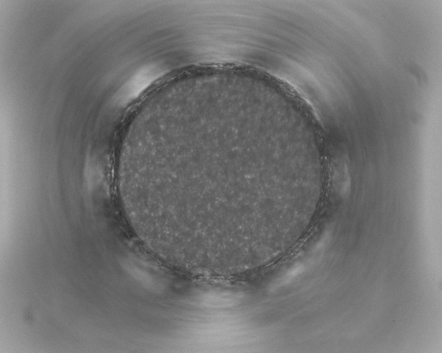 X0000115270871200911271943