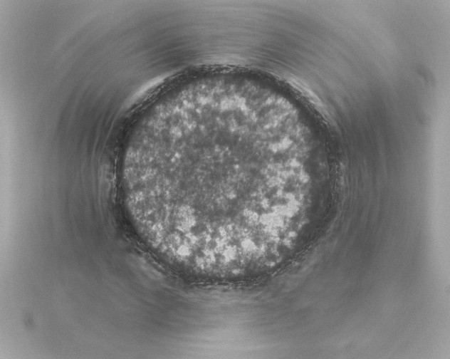 X0000115270872200911271943