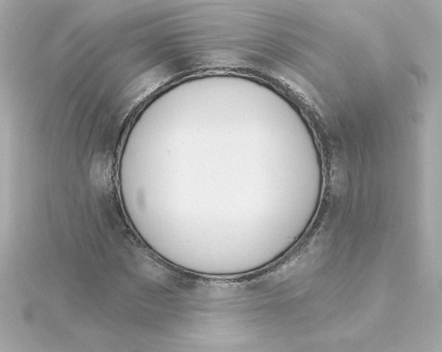 X0000115270873200911271943