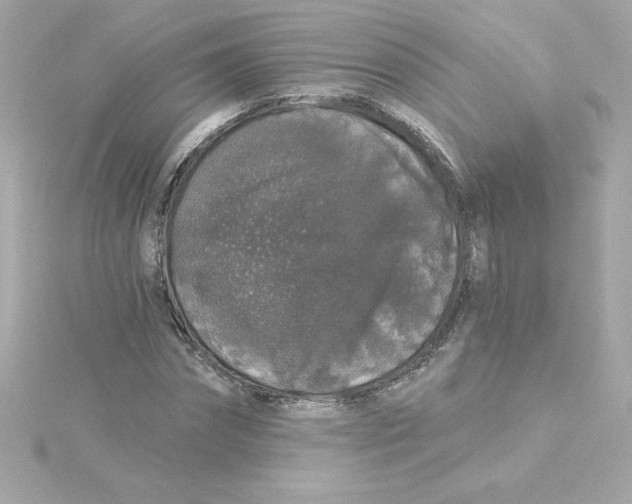 X0000115270874200911271943